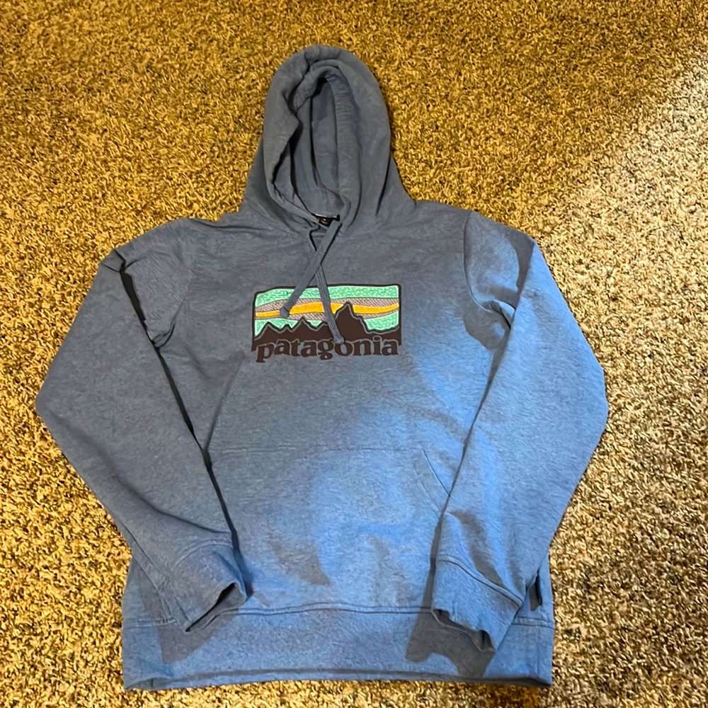Patagonia Hoodie, women's medium